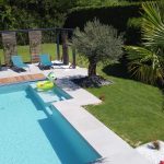 piscine olivier palmier - Paysagiste à Vitré et Saint Lunaire